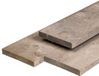 Merkloos Steigerplank Midden-Europees zilvergrijs vuren 2,9x19,0x400 cm Tuindeco