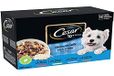 CESAR Maaltijden voor oudere honden, 48 versheidszakjes (4 verpakkingen van 12 x 100 g) – voer voor honden van gelei – rundvlees/kip/lam/kalkoen – compleet en uitgebalanceerd voer met natuurlijke ingrediënten