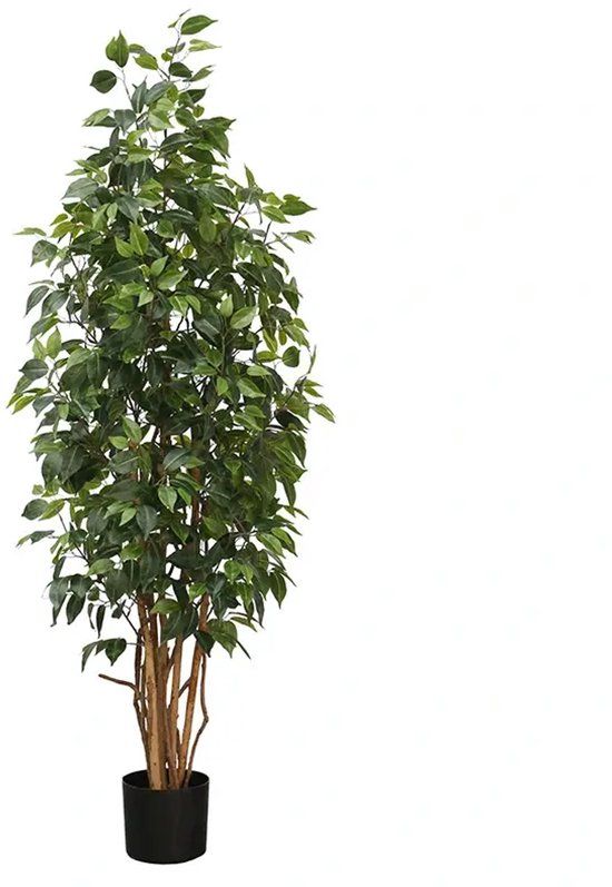 Buitengewoon Boet Kunstplant Ficus - 165cm
