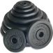 Body Revolution Disque de musculation en fonte 15kg (x2)