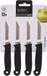 Excellent Houseware Schilmesjes RVS set van 4 stuks
