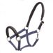 Kavalkade Veiligheidshalster voor paarden KavalLastic marine Blauw