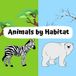 Animals by Habitat: Discover Where Animals Live Around the World – A Fun and Educational Picture Book for Kids