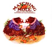 Matching Mole Matching Mole Expanded Édition
