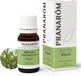 Pranarom Huile essentielle de Niaouli 10 ml