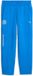 PUMA Pumatech FZ L Pantalon de jogging Bleu
