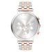 Liebeskind Berlin Analoog horloge goud / zilver