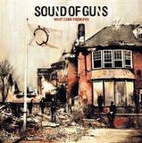 Bertus Distributie Sound Of Guns What Came From Fire