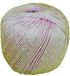 PasschierTerpo Sisal - ficelle de sisal - pelote - naturel - 3/600 - 2,5 kg - pelote