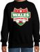 Bellatio Decorations Shoppartners Bv Wales supporter schild sweater zwart voor kinderen 152/164