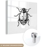 MuchoWow® Glass Painting 50x50 cm - Acrylic Glass - Vintage Ladybug - Black and White - Square