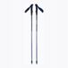 Black Diamond Distance Z Trekkingstokken Pewter 110 cm
