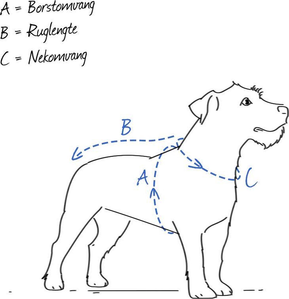 Beeztees Typo Nylon Borsttuig Hond - Groen - Verstelbaar - 35-50 cm