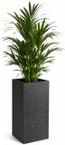 EDA Bloempot / plantenpot Graphit hoog - kunststof - antraciet - 80 cm - dubbelwandig - binnen / buiten