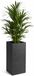 EDA Bloempot / plantenpot Graphit hoog - kunststof - antraciet - 80 cm - dubbelwandig - binnen / buiten