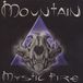 Bertus Distributie Mystic Fire