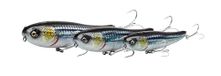 Savage Gear Kogel Mul - Premium Lopend Kunstaas voor Zout- en Zoetwatervissers, Ultra Lang Werpend Ontwerp, Discrete Ratel, Ideaal voor Zeebaars, Snoek, & Meer Illusion White Losse Scles 5,5 cm