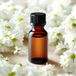 Mansion atmosphere Geurolie Chamomile 10ml