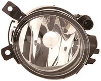 TarosTrade 36-0455-R-67439 Scout mistlamp rechts