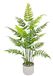 Kunstplant Bosvaren Kunstplant in Pot, 90 cm