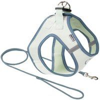 AniOne Pepe&Kitty puppy set groen & blauw M