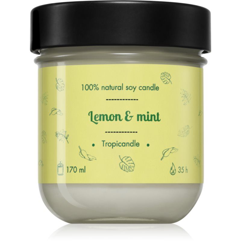 Tropicandle Lemon & Mint