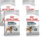 Royal Canin Ccn Dental Care Mini - Alimentation pour chien - 4 x 1 kg