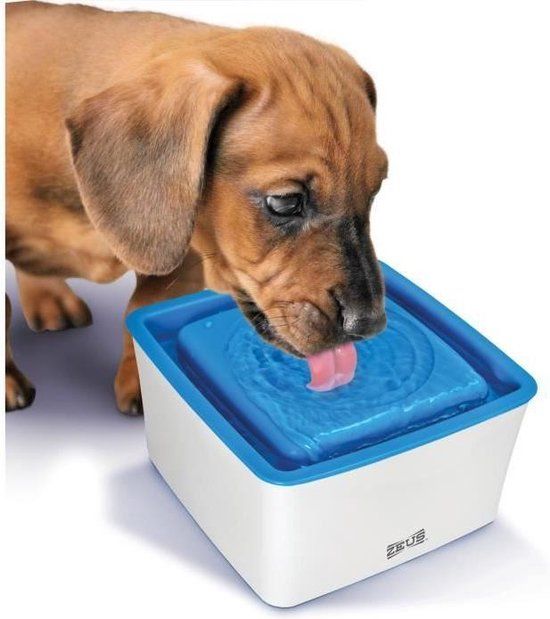 ZEUS Drinkbak in BPA-vrije materialen - Wit en blauw - Voor honden van kleine rassen