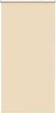 vidaXL Rolgordijn verduisterend 65x130cm polyester beige