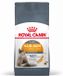 Royal Canin Hair & Skin Care - 10 kg - Kattenvoer