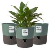 Ensemble de 3 pots de fleurs à arrosage automatique – 16,5 cm – avec réservoir d'eau – Vert