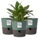 Ensemble de 3 pots de fleurs à arrosage automatique – 16,5 cm – avec réservoir d'eau – Vert