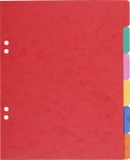 Exacompta 20x Tabbladen in glanskarton 225g - 6 tabs - schoolformaat 17x22cm - Geassorteerd - 406E