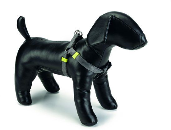 Beeztees nylon borsttuig uni grijs 46-75 cm x 20 mm
