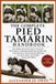 THE Independently Published The Complete Pied Tamarin Handbook