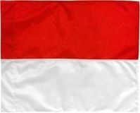Piri Sport Cornervlag 30 Mm 46 X 40 Cm Rood/wit