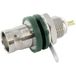 Telegärtner 100023442 BNC-connector Bus, inbouw verticaal 50 Ω 1 stuk(s)