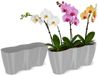 KADAX Pot de fleurs pour intérieur, orchidées, fleurs, plantes, rebord de fenêtre, pot à orchidées, pot de fleurs en plastique, jardinière moderne, bac à fleurs, pot de fleurs (35 x 12 cm, gris)
