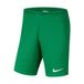 Nike Uniseks-Kind Shorts Park Ii Short Nb, Pine Green/(White), BV6865-302, S