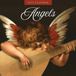 Red Robin Angels Kalender 2027 Wandkalender Kunst Meerkleurig