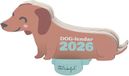 Mr Wonderful Tafelkalender 2026 met standaard, teckel
