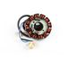 Motoforce Stator d'allumage Power Up (Moric) Minarelli AM6