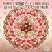 Mysterious Mandala Art Adult Coloring Book: 50 Pages of Floral and Geometric Patterns for Meditation, Stress Relief, and Focus