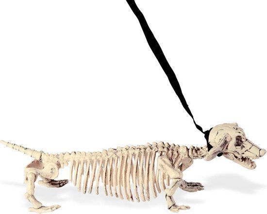Generik Honden skelet aan riem - Feestdecoratievoorwerp - One size