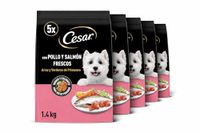Cesar Droogvoer voor honden volwassenen met verse kip, zalm en groenten, 5 dragees van 1,4 kg