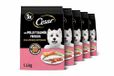 Cesar Droogvoer voor honden volwassenen met verse kip, zalm en groenten, 5 dragees van 1,4 kg
