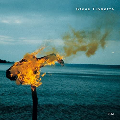 Steve Tibbetts - A Man About A Horse