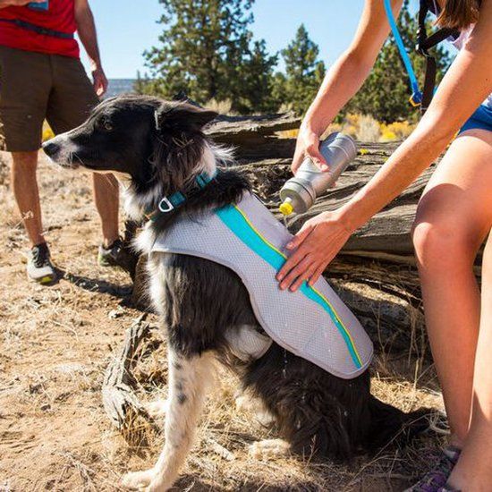 Ruffwear Swamp Cooler - Biolumin Blue - M