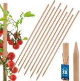 KOTARBAU® 10 st Tomatenstokken, Plantenstok, Beukenhout, 120 cm