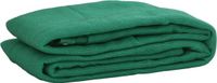 vidaXL Aanhangwagennet - 2,5x3,5 m - HDPE - Groen